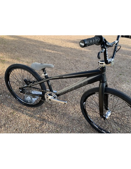 MONTAGE STAY STRONG CRUISER