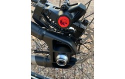 MONTAGE STAY STRONG CRUISER