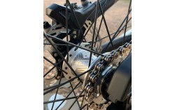 MONTAGE STAY STRONG CRUISER