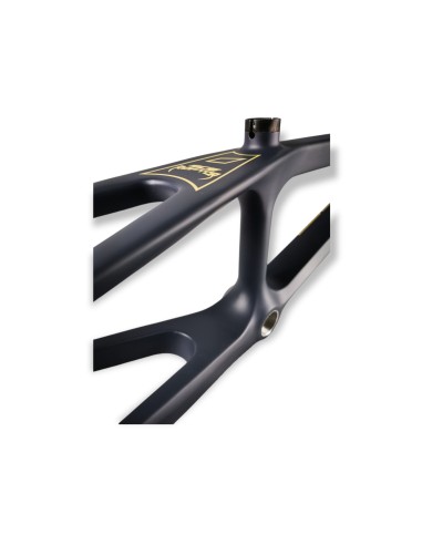 Cadre BMX carbone ICE RAPTOR Grey/Sand avec système IRC