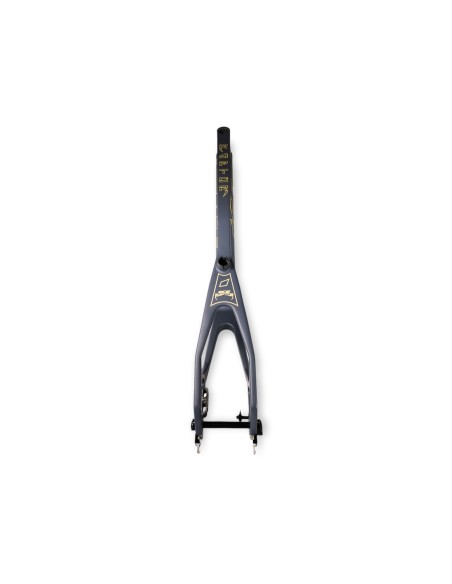 Cadre BMX carbone ICE RAPTOR Grey/Sand avec système IRC