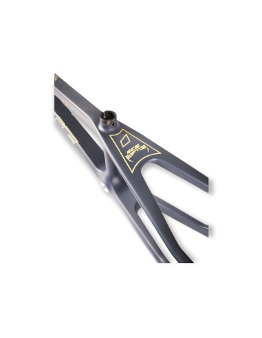 Cadre BMX carbone ICE RAPTOR Grey/Sand avec système IRC