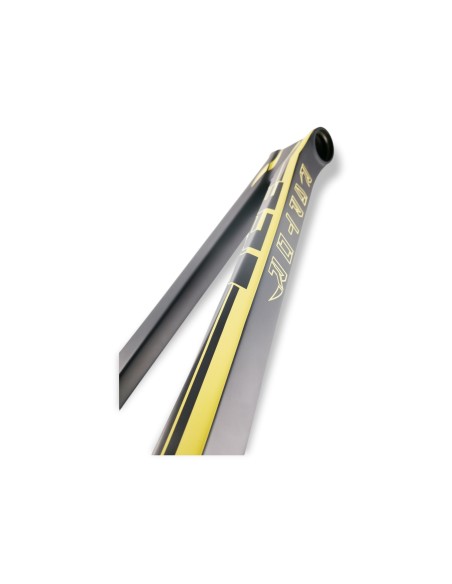 Cadre BMX carbone ICE RAPTOR Grey/Sand avec système IRC
