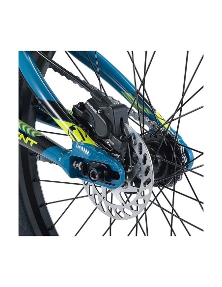 CHASE element 2023 pro bleu