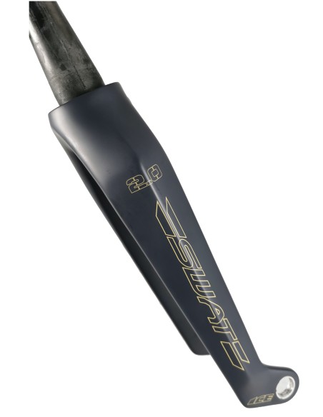 Fourche carbone ICE SWAT 2.0 TAPERED