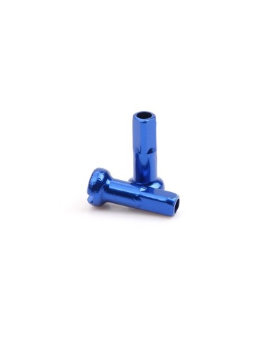 Tete de rayon ICE
