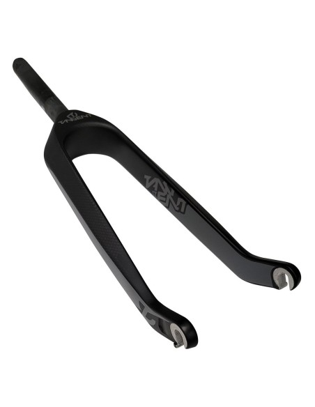 FOURCHE TANGENT CARBONE EXPERT 10mm