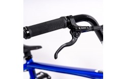 Bmx Inspyre Evo Disk Expert XL 2024