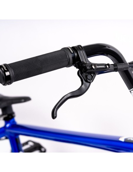 Bmx Inspyre Evo Disk Expert XL 2024