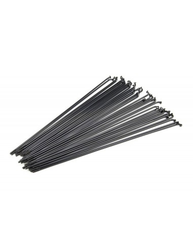 Rayons Mach1 Black (Boite X 72)