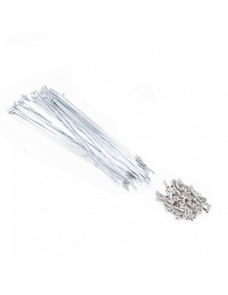 Rayons Mach1 Silver (Boite X 72)