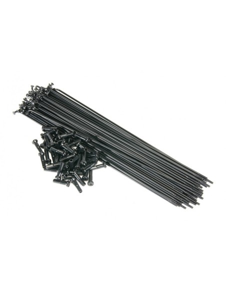 Rayons Mach1 Black (Boite X 72)