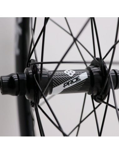 Roues 20" EXPERT Pride Gravity/Control Disque NOIR MATT
