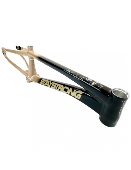 Cadre Stay Strong For Life V5 2024 - Black / Tan KID
