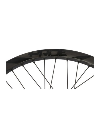 Roues 20" (406) Onyx Ultra SS Disc 15mm / Pride Wave Black Matt