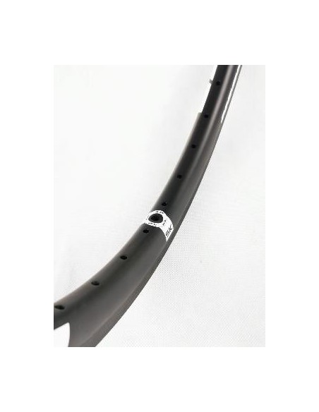 Jante ICE FAST carbone 28T 2