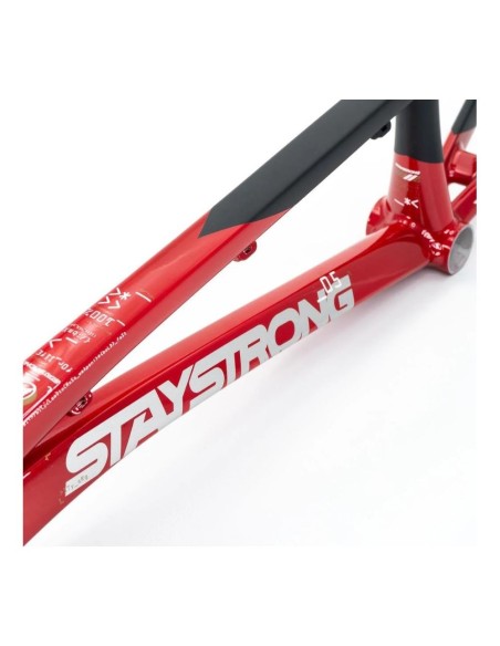 Cadre Stay Strong For Life V5 2025 - Red / Black 2