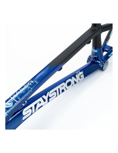 Cadre Stay Strong For Life V5 2025 - Navy / Black