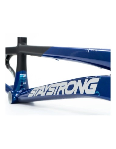 Cadre Stay Strong For Life V5 2025 - Navy / Black