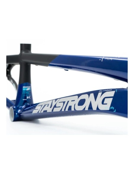 Cadre Stay Strong For Life V5 2025 - Navy / Black 2