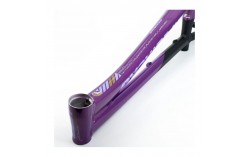 Cadre Stay Strong For Life V5 2025 - Purple / Black