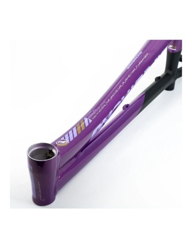 Cadre Stay Strong For Life V5 2025 - Purple / Black