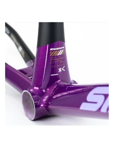 Cadre Stay Strong For Life V5 2025 - Purple / Black