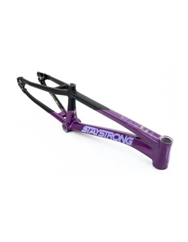 Cadre Stay Strong For Life V5 2025 - Purple / Black