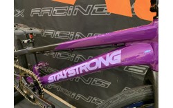 MONTAGE STAY STRONG PURPLE