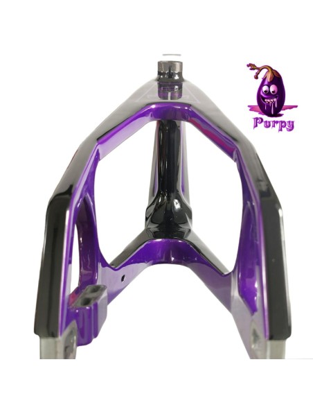Cadre BMX carbone ICE RAPTOR Noir / violet Purpy PRO