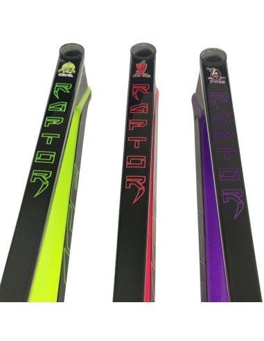 Cadre BMX carbone ICE RAPTOR Noir / violet Purpy PRO