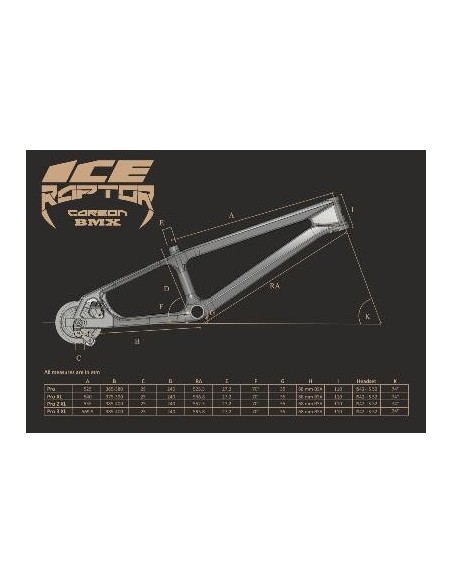 Cadre BMX carbone ICE RAPTOR Noir / violet Purpy PRO