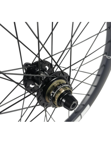 Roue arrière ICE RAPTOR 20'' Carbone Noire logo Blanc - Moyeu HACKER X 10-15