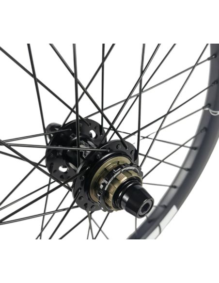 Roue arrière ICE RAPTOR 20'' Carbone Noire logo Blanc - Moyeu HACKER X 10-15
