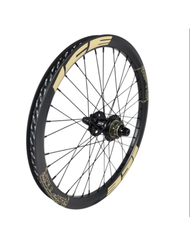 Roue arrière ICE RAPTOR 20'' Carbone Noire logo Sable - Moyeu HACKER X 10-15