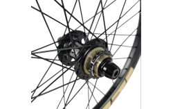 Roue arrière ICE RAPTOR 20'' Carbone Noire logo Sable - Moyeu HACKER X 10-15
