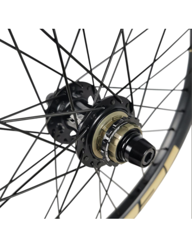 Roue arrière ICE RAPTOR 20'' Carbone Noire logo Sable - Moyeu HACKER X 10-15