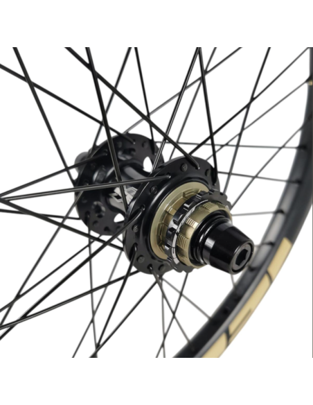 Roue arrière ICE RAPTOR 20'' Carbone Noire logo Sable - Moyeu HACKER X 10-15 2