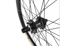 Roue arrière ICE RAPTOR 20'' Carbone Noire logo Sable - Moyeu HACKER X 10-15