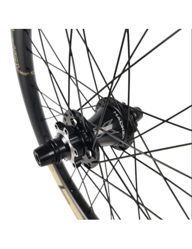 Roue arrière ICE RAPTOR 20'' Carbone Noire logo Sable - Moyeu HACKER X 10-15