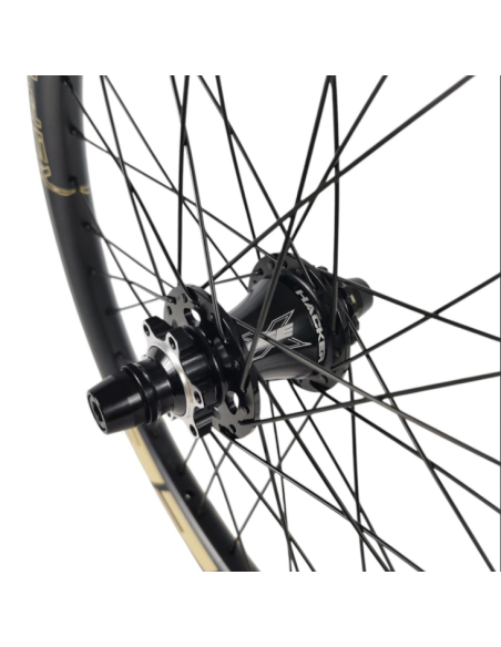 Roue arrière ICE RAPTOR 20'' Carbone Noire logo Sable - Moyeu HACKER X 10-15