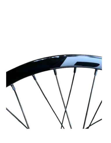 ROUES GLOBAL/PRIDE control 20" noir