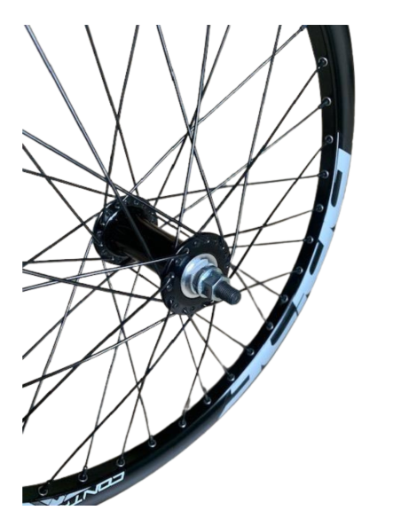 ROUES GLOBAL/PRIDE control 20" noir