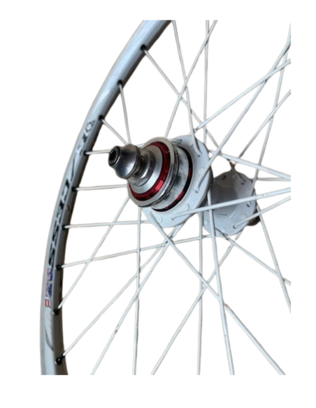 ROUE EXCESS ARRIERE EXPERT 10mm 2