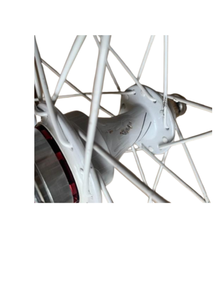 ROUE EXCESS ARRIERE EXPERT 10mm
