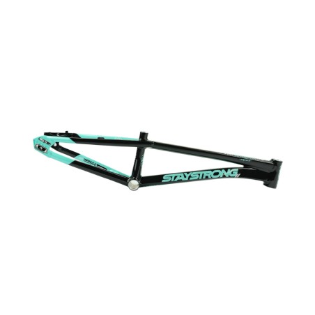 Stay Strong For Life Frame V5.1 - Tiffany/Black