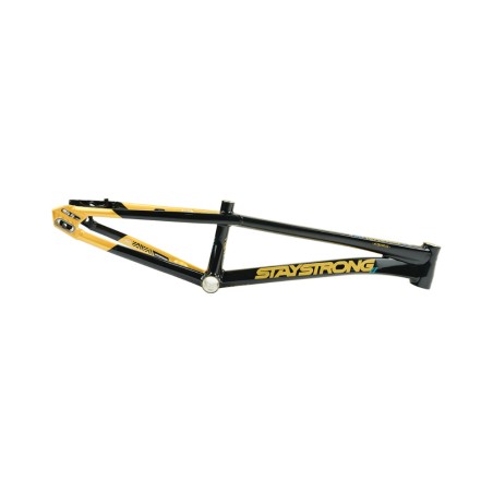 Cadre Stay Strong For Life V5.1 - Gold/Black