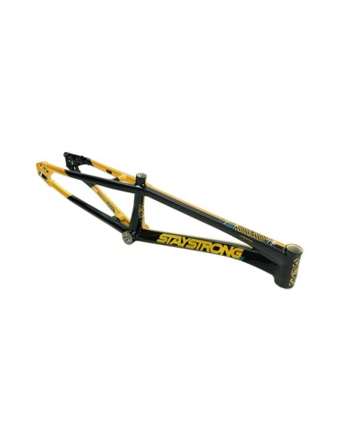 Cadre Stay Strong For Life V5.1 - Gold/Black