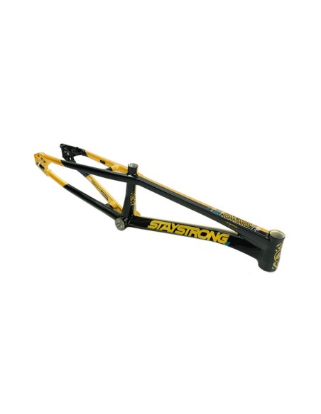 Stay Strong For Life Frame V5.1 - Gold/Black