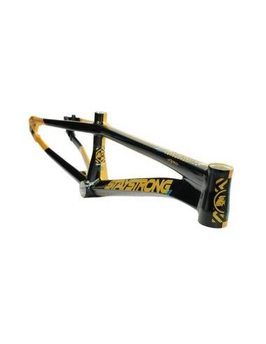 Cadre Stay Strong For Life V5.1 - Gold/Black